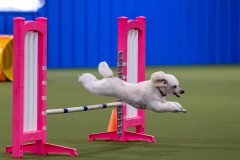 2023-AADTC-April-Trial-117