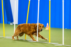 2023-AADTC-April-Trial-1195