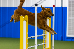 2023-AADTC-April-Trial-1196