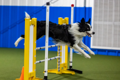 2023-AADTC-April-Trial-1201