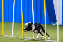 2023-AADTC-April-Trial-1202