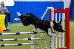 2023-AADTC-April-Trial-1204