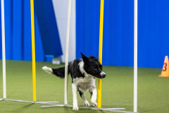 2023-AADTC-April-Trial-1207