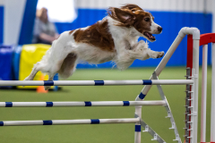 2023-AADTC-April-Trial-1208