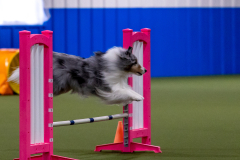 2023-AADTC-April-Trial-121