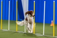 2023-AADTC-April-Trial-1211