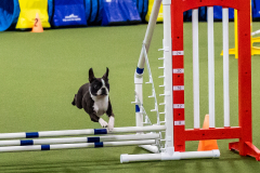 2023-AADTC-April-Trial-1214