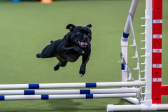 2023-AADTC-April-Trial-1216