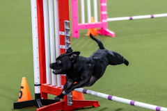 2023-AADTC-April-Trial-1217