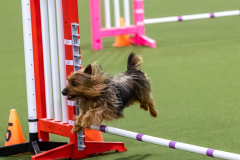 2023-AADTC-April-Trial-1219