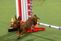 2023-AADTC-April-Trial-1221