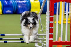 2023-AADTC-April-Trial-1224