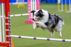 2023-AADTC-April-Trial-1225