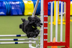 2023-AADTC-April-Trial-1226