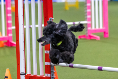 2023-AADTC-April-Trial-1227