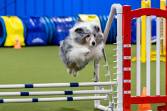 2023-AADTC-April-Trial-1228