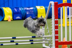 2023-AADTC-April-Trial-1230