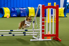 2023-AADTC-April-Trial-1232