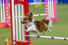 2023-AADTC-April-Trial-1233