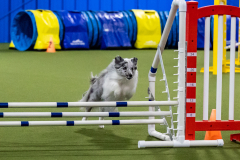 2023-AADTC-April-Trial-1236