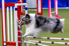 2023-AADTC-April-Trial-124