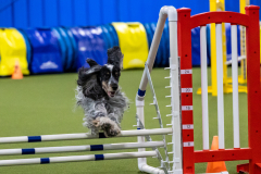 2023-AADTC-April-Trial-1240