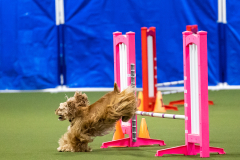 2023-AADTC-April-Trial-1243