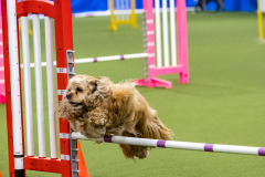 2023-AADTC-April-Trial-1244