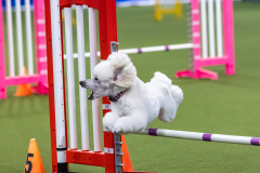 2023-AADTC-April-Trial-1248