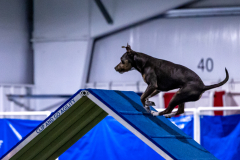 2023-AADTC-April-Trial-125