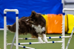 2023-AADTC-April-Trial-1251