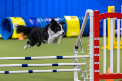 2023-AADTC-April-Trial-1252