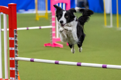 2023-AADTC-April-Trial-1253