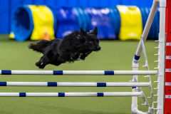 2023-AADTC-April-Trial-1254