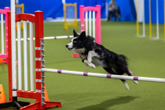 2023-AADTC-April-Trial-1258