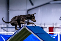 2023-AADTC-April-Trial-126