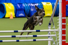 2023-AADTC-April-Trial-1262