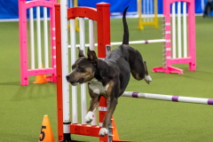 2023-AADTC-April-Trial-1263