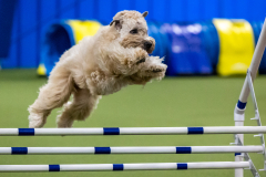 2023-AADTC-April-Trial-1268