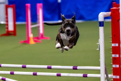 2023-AADTC-April-Trial-127