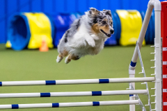 2023-AADTC-April-Trial-1270