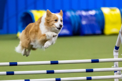 2023-AADTC-April-Trial-1273