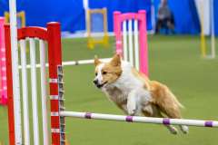 2023-AADTC-April-Trial-1274