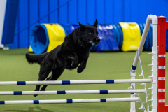 2023-AADTC-April-Trial-1282