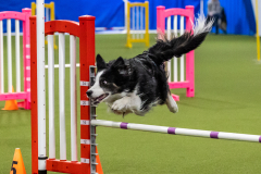 2023-AADTC-April-Trial-1292