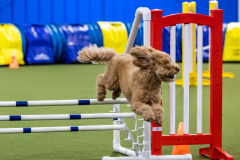 2023-AADTC-April-Trial-1304