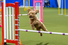 2023-AADTC-April-Trial-1305