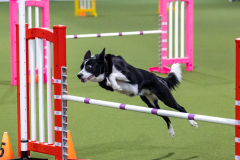 2023-AADTC-April-Trial-1307