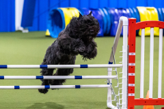 2023-AADTC-April-Trial-1308