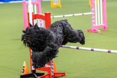 2023-AADTC-April-Trial-1309